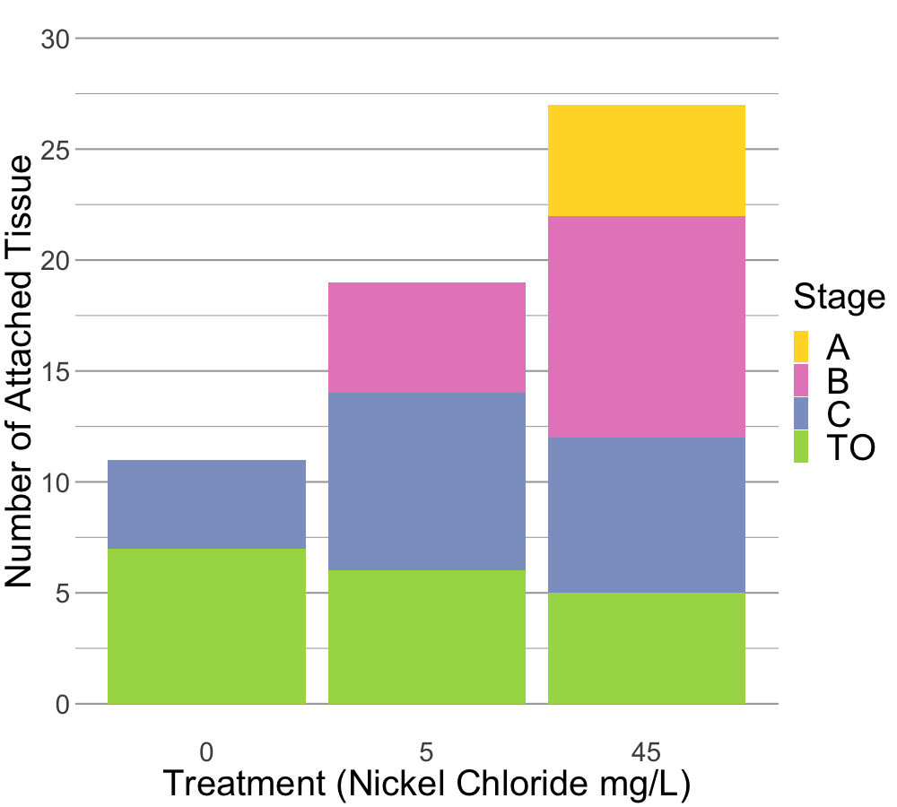 Number of tissue pieces adhered to plate at initiation of culturing by treatment and blastogenic stage. Stacked bars to get an idea of how much tissue was allotted to each treatment.